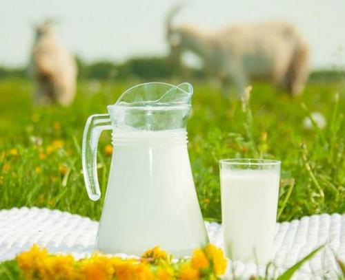 Молоко снижает риск развития рака и диабета