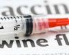 Swine flu claims two more lives in Armenia