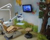 Мультфильмы помогают стоматологам лечить детей