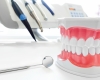 Уровень услуг в стоматологии зависит от экономики страны