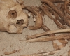 Նեանդերթալցիների ատամներից վերցված  փորձանմուշների ուսումնասիրությունը ցույց է տվել, որ նրանք օգտագործել են բուսական սնունդ